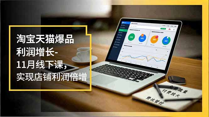 淘宝天猫爆品利润增长-11月线下课，免费流量、付费放大、费比管控，实现店铺利润倍增-阳明聊项目