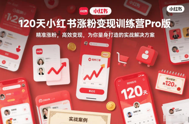 120天小红书涨粉变现训练营Pro版，精准涨粉，高效变现，为你量身打造的实战解决方案-阳明聊项目