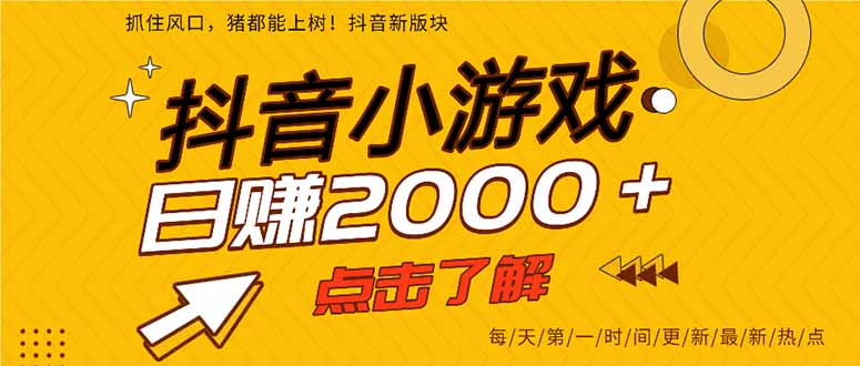 2025年爆火的抖音小游戏项目，一部手机日入2000+-阳明聊项目