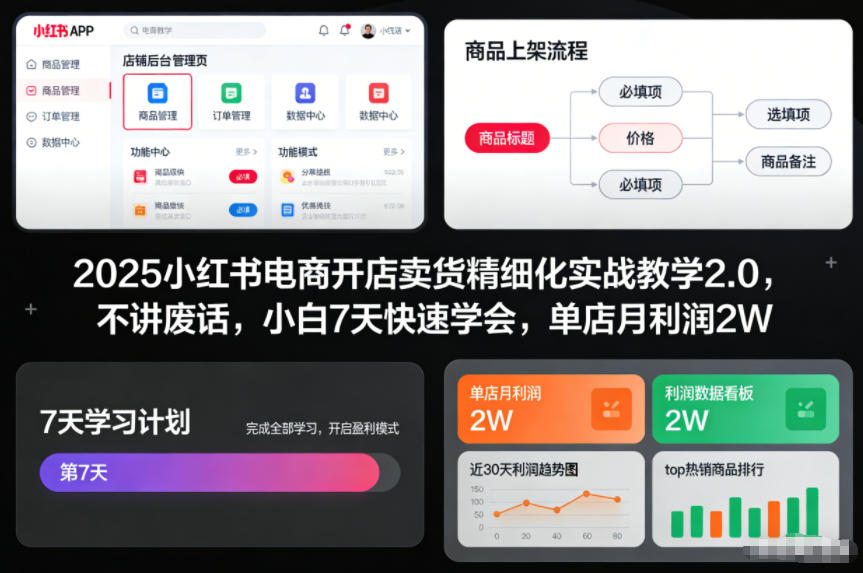 2025小红书电商开店卖货精细化实战教学2.0，不讲废话，小白7天快速学会，单店月利润2W-阳明聊项目