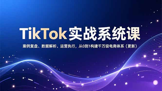 TikTok实战系统课，案例复盘、数据解析、运营执行，从0到1构建千万级电商体系(更新-阳明聊项目
