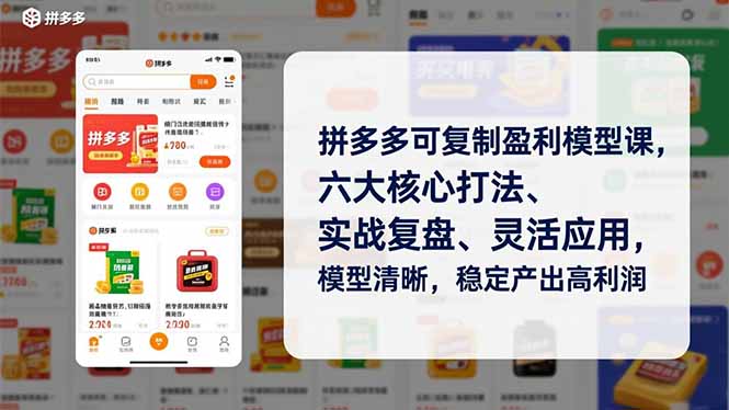 拼多多可复制盈利模型课，六大核心打法、实战复盘、灵活应用，模型清晰，稳定产出高利润-阳明聊项目