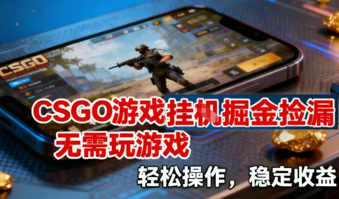 CSGO游戏挂G掘金捡漏，不需要玩游戏，操作简单，收益稳定【揭秘】-阳明聊项目