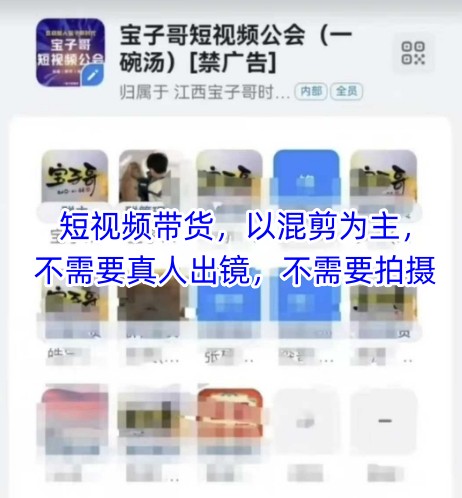 宝子哥头部团队短视频带货,以混剪为主,不需要真人出镜,不需要拍摄【更新12月】-阳明聊项目