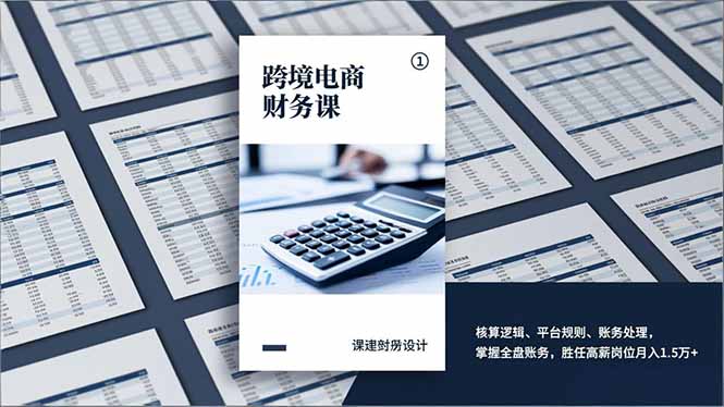跨境电商财务课，核算逻辑、平台规则、账务处理，掌握全盘账务，胜任高薪岗位月入1.5万+-阳明聊项目