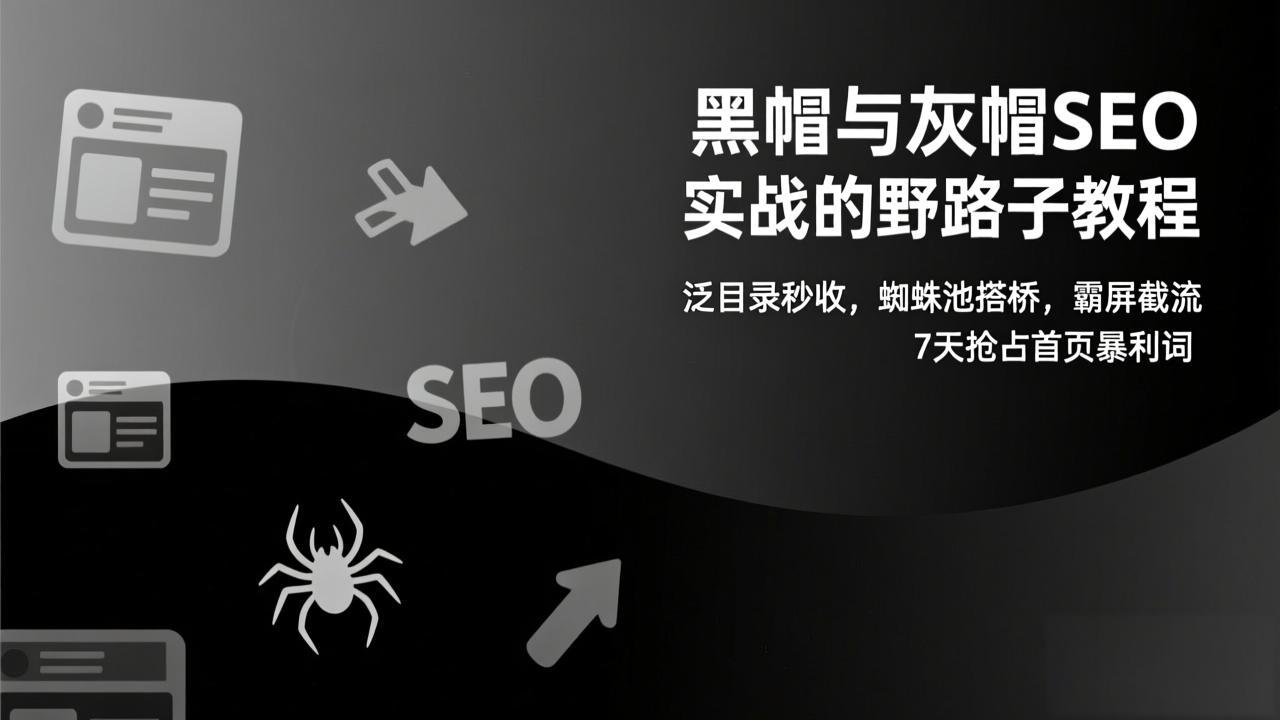 黑帽与灰帽SEO实战的野路子教程：泛目录秒收，蜘蛛池搭桥，霸屏截流，7天抢占首页暴利词-阳明聊项目