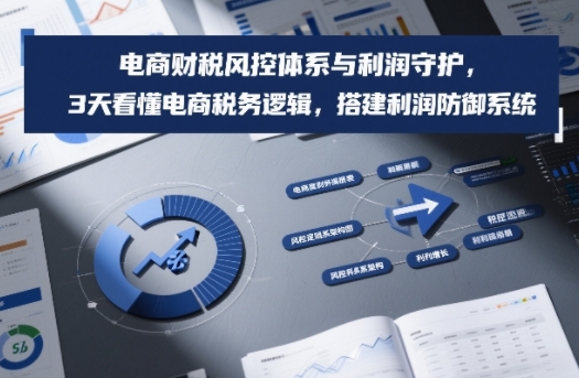 电商财税风控体系与利润守护，3天看懂电商税务逻辑，搭建利润防御系统-阳明聊项目