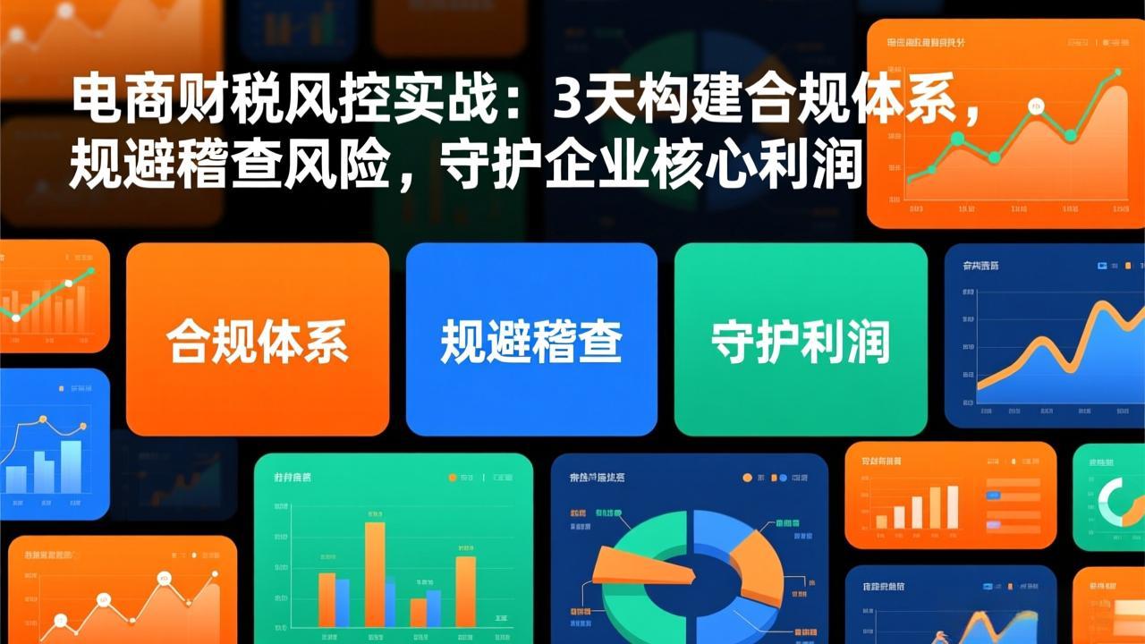 电商财税风控实战：3天构建合规体系，规避稽查风险，守护企业核心利润-阳明聊项目