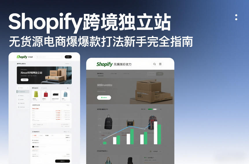 Shopify跨境独立站无货源电商爆款打法新手完全指南-阳明聊项目